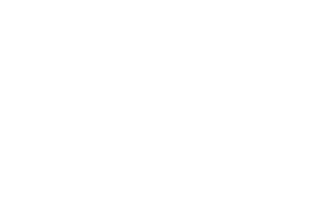 gv_horitzontal_transparent-wh